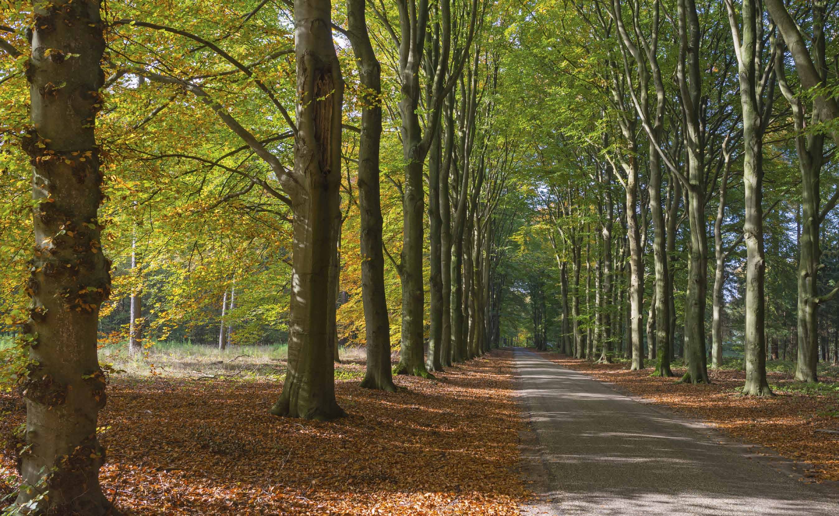 waarden van het landschap.