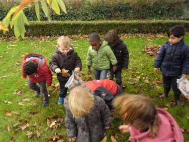 Week 4-8 november: thema herfst We leerden deze week over de herfst. We deden een natuurwandeling in het domein van de school en verzamelden veel herfstmateriaal.