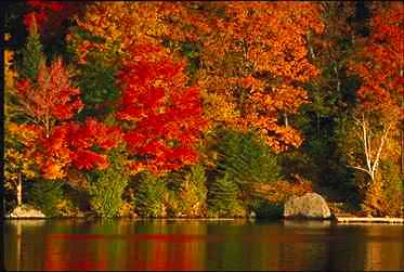 Op dinsdagmiddag 14 oktober zijn we de herfst gaan zoeken in de bossen.