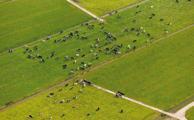 De intensieve veehouderij komt tegenwoordig vaak negatief in het nieuws. Dit leidt tot heftige maatschappelijke discussies.