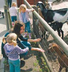 Na 37 jaar, toen deskundigen aanbevolen te stoppen met kooisystemen, lijkt Europa in 2012 eindelijk klaar te zijn voor een verbod op de traditionele legbatterij dig en veterinair onderzoek aanwezige