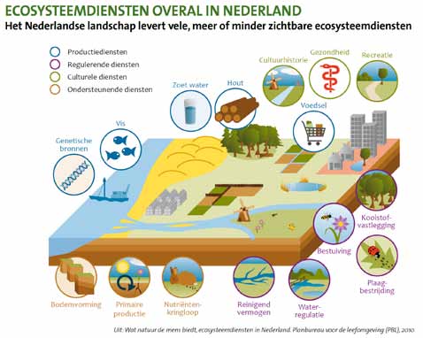 Bodemvruchtbaarheid als ecosysteemdienst Ecosysteemdiensten zijn de voordelen die mensen ontlenen aan het functioneren van natuurlijke systemen.