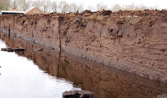 en bijgevolg veensoort: Het oligotrofe milieu wordt uitsluitend gevoed met zeer voedselarm regenwater.