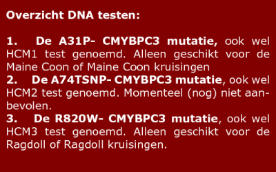 Welke genetische testen zijn beschikbaar en welke zijn zinvol voor mijn kat?