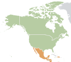 Noord-Amerika Groei BNP Noord-Amerika, (bron IMF oktober 2012) Beleidskeuze en strategie Behouden sterke marktpositie Noord-Amerika Focus op chemie via containers