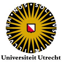 November 2012 Maart 2013 Universiteit Utrecht BV te Utrecht Problem Manager, 40 uur per week Service Centre ICT t.b.v. de Studenten en Docenten van de UU - Functioneel aansturen en coachen van de