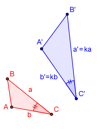 h) Congruente driehoeken Twee driehoeken zijn congruent ls en slechts ls lle overeenkomstige hoeken en zijden gelijk zijn.
