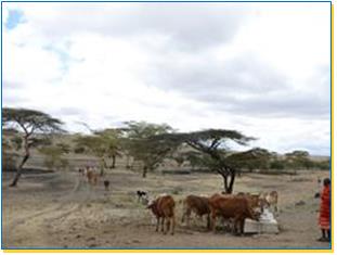 Waterproject Maasai Oloyiankalani, Kenia Schoon drinkwater voor 6.