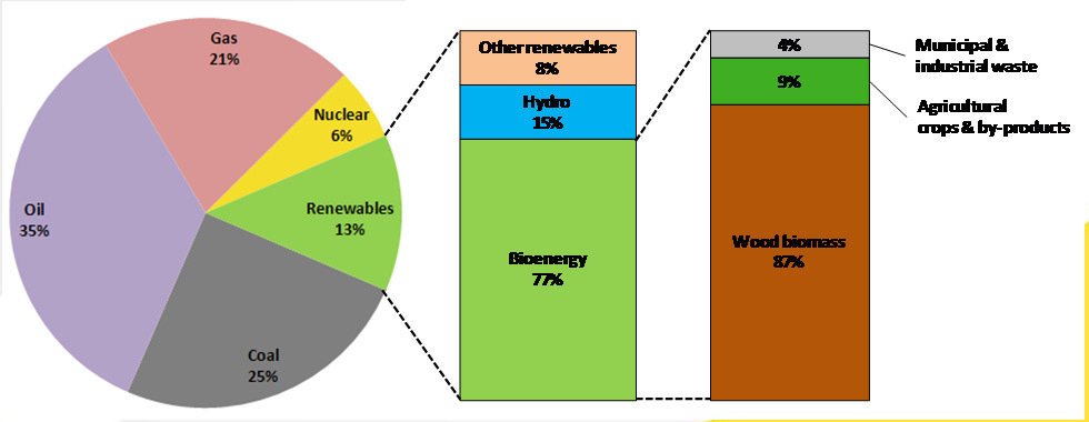 Huidige mondiale inzet biomassa (50 EJ) - 13% energievraag duurzame bronnen waarvan 77% bio energie - Helft bioenergie low tech in ontwikkelingslanden - 87%