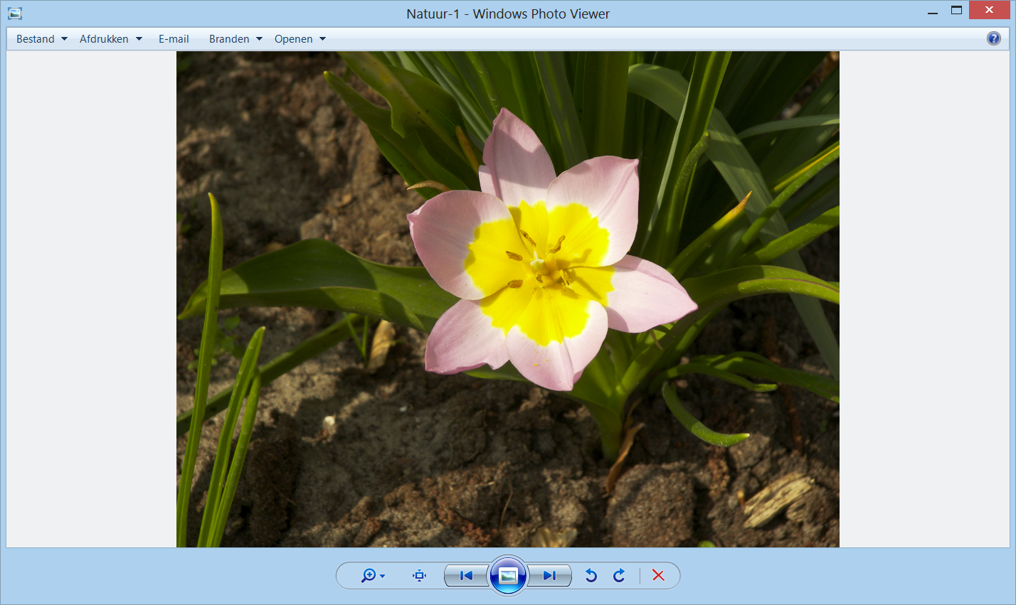 17 Als Windows Photo Viewer niet uw standaardprogramma voor het bekijken van foto s is: Klik bij op U ziet het venster van Windows Photo Viewer: Werkbalk: Besturingselement voor afspelen: Om in te