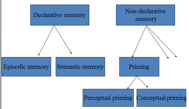 8.3 Episodisch geheugen Persoonlijk doorgemaakte gebeurtenissen in een bepaalde tijds- en plaats context = contextueel geheugen 95% episodisch geheugen