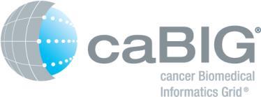 The beginning: cabig 70+ Software Tools International