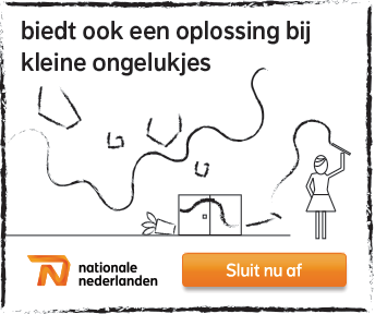9. Projecten: Nationale Nederlanden