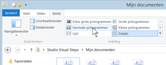 6 De schermafbeeldingen De schermafbeeldingen in dit cahier zijn bedoeld om aan te geven op welke knop, map, bestand of hyperlink u precies moet klikken op uw beeldscherm.