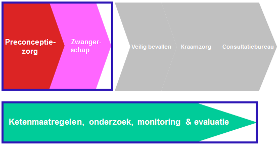 Projectdoelen Healthy Pregnancy 4 All Aanpak perinatale problematiek in