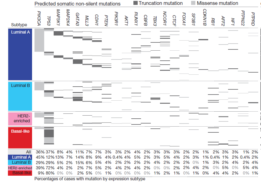 Landscape of driver mutations in breast