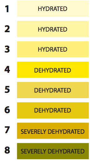 Om te controleren of je voldoende drinkt is er een simpele test die je zelf kunt afnemen: de plas-test. Vergelijk de kleur van je urine met het plaatje hiernaast.