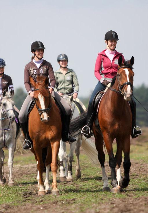 Ruiterbewijs vernieuwd Opleiding ruiterbewijs vernieuwd Lesmateriaal in een nieuw jasje In de opleiding: - basiskennis van het paard - Leren paardrijden - Rijden op de weg/deelnemen in het verkeer -