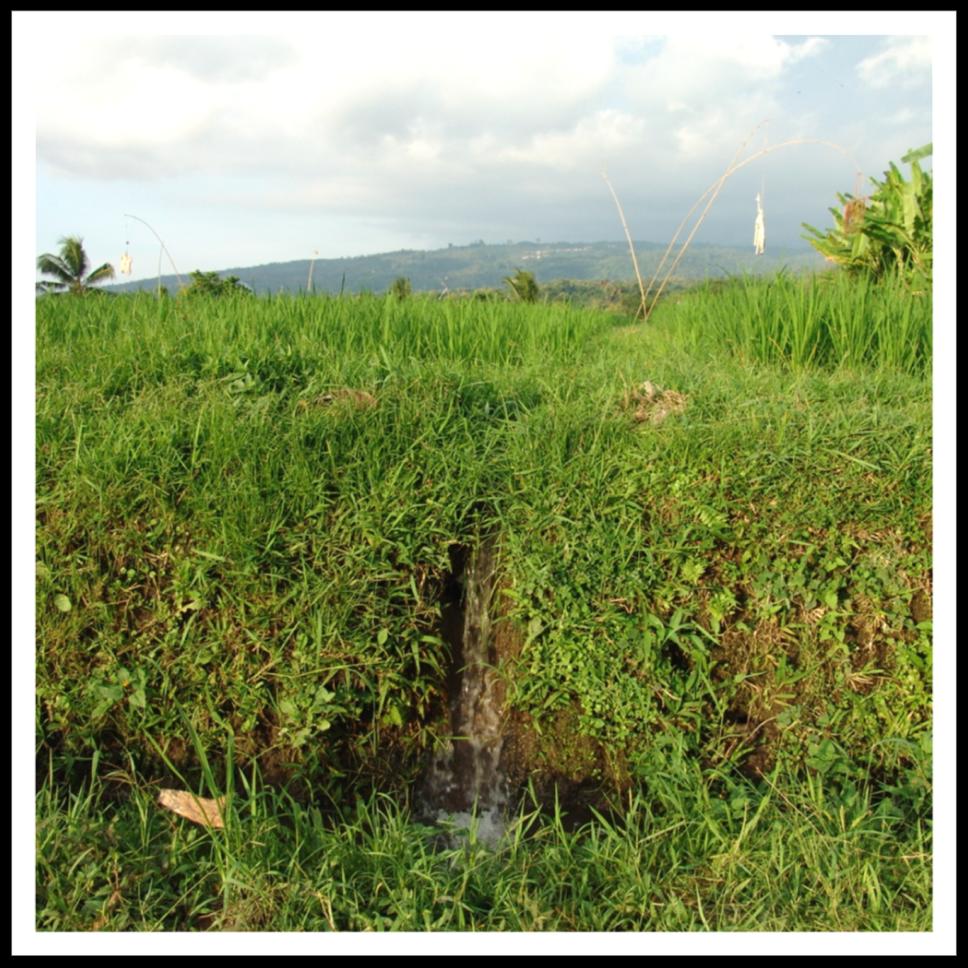 Watervoorziening Onze prioriteit nu is het realiseren van een watervoorziening voor een dorpje in het noorden van Bali. Met deze voorziening zijn een heleboel families geholpen.