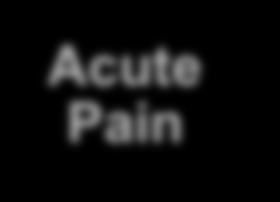 Cousins M, Power I. In: Wall PD, Melzack R, eds. Textbook of Pain. 4th ed; 1999:447 491.