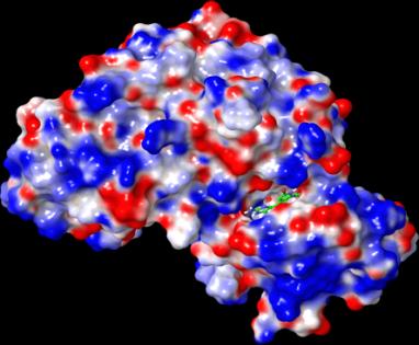 Testosteron: een snufje chemie