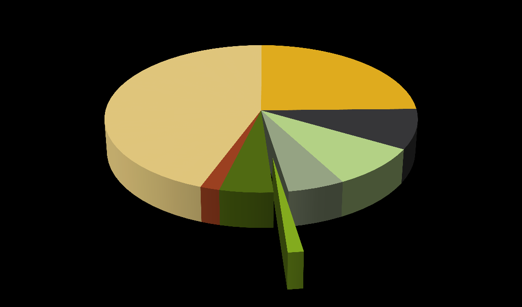 GEHELE VERSLAVINGSZORG Figuur 17: Wijze van contact 2009 Internet 1,0% Overig 0,2% Telefonisch 10,8% Face to face 88,0% De face to face contacten vormen het grootste deel van het aantal contacten