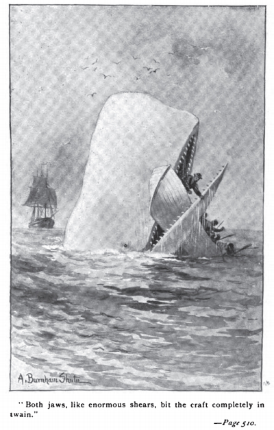 Moby Dick Moby Dick is de titel van een beroemd boek over een potvis. Het ging over een witte potvis die heel agressief was. Hij zorgde ervoor dat heel wat walvisvaarders met hun schepen zonken.