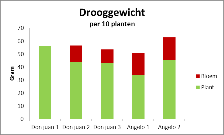 Figuur 26 Versgewicht bij einde teelt per 10 planten Bij Don Juan 1 is het versgewicht van bloem en plant niet apart gewogen. Angelo 1 heeft een duidelijk lager versgewicht gerealiseerd.