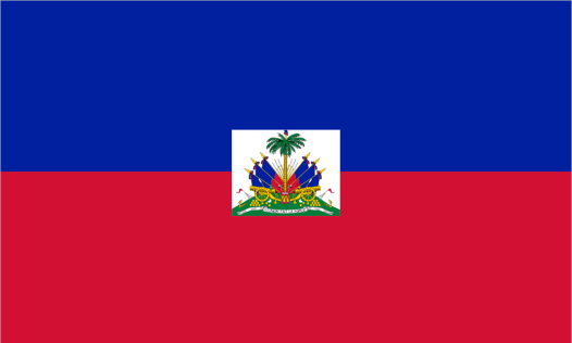 4.8 HAÏTI PROEFFASE Einde 2012 werd duidelijk dat adoptiediensten die nog in Haïti willen werken geaccrediteerd moeten worden.