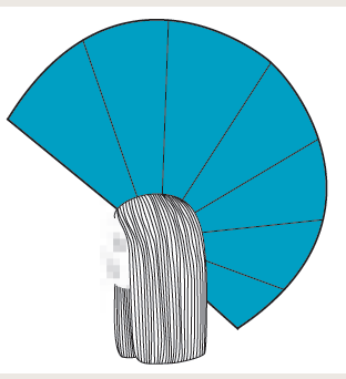 Formatieve toets: Dames knippen en snijden Massieve vorm Boek knippen basic De massieve, horizontale vorm is de absolute basisvorm. De massieve, horizontale vorm is gericht op lijn en massa.