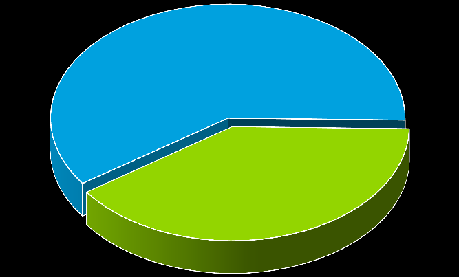 Bijlage achtergrondkenmerken Functie Grootte bedrijf Gebruik CM software credit manager debiteurenbewaker/- beheerder/credit controller 23% 38% 28% 60% (financieel) directeur teamleader