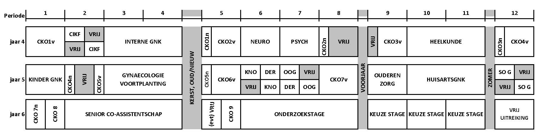 Schematisch overzicht masterfase Iedere periode start er een cogroep, ook in de zomermaanden!