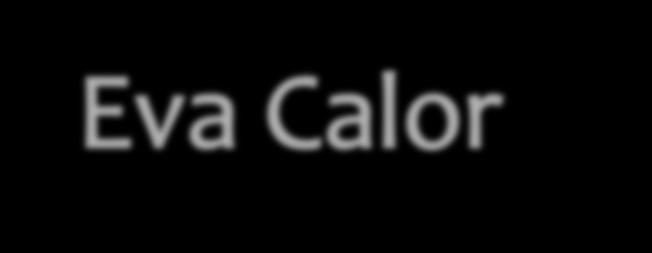 2390 excl. BTW (Air) De Eva Calor Claudia met een gewicht van 115 kg heeft een vermogen van 9,5 kw. van 140 tot 200 m³ verwarmen. Deze kachel heeft een rendement van maar liefst 88%!