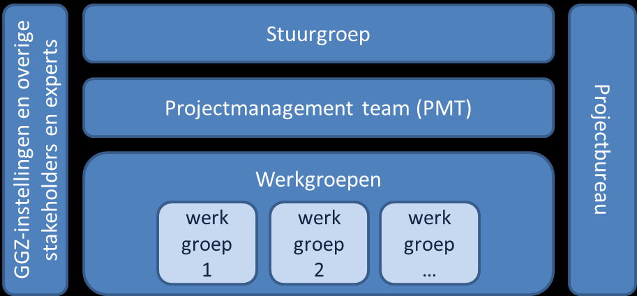 5 Projectorganisatie en management 5.