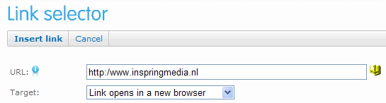 TIP: U kunt de pagina waar u naartoe wilt linken in een browser openen en de URL uit de adresbalk kopiëren. Zo weet u zeker dat uw link correct is.