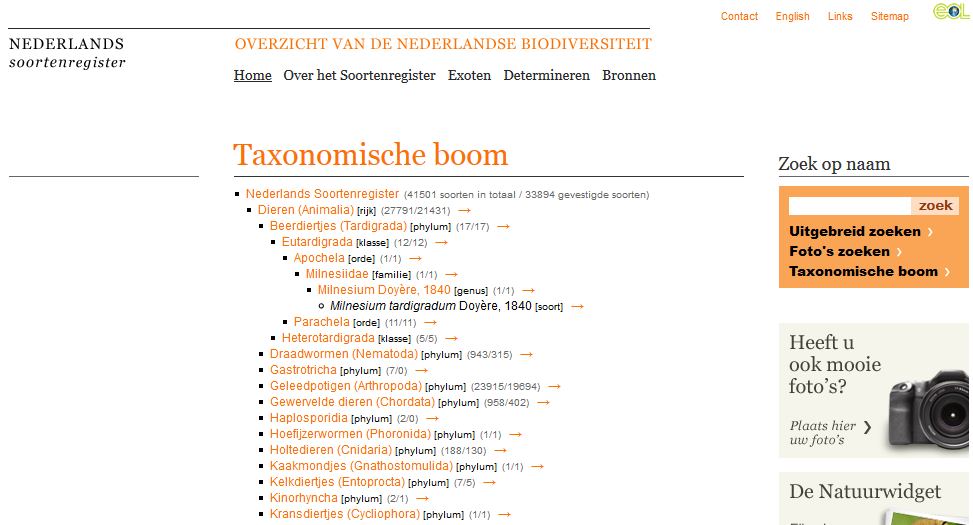 Voorbeeld 3: Taxonomie Naam (+ Definitie etc.