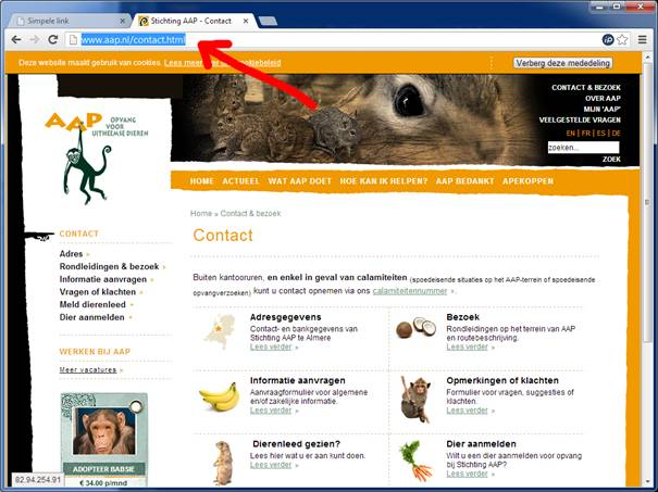 Hieronder zie je een voorbeeld van een externe link die naar de contact pagina van Stichting Aap verwijst: <a href="http://www.aap.nl/contact.