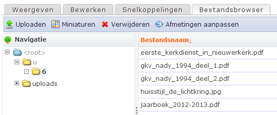 BESTANDSBROWSER Je vindt de bestandsbrowser door rechtsboven je inlog naam te activeren. Je ziet dan een scherm met een tab (Rechts boven): Bestandsbrowser.
