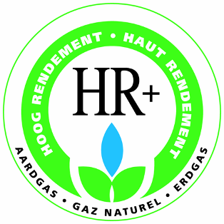 BGV-HR HR+ Label HR Top Label CE-keurmerk Figuur 3:Voorbeelden labels voor gasketels Fabricagejaar Het gevraagde fabricagejaar betreft het productiejaar van de ketel.