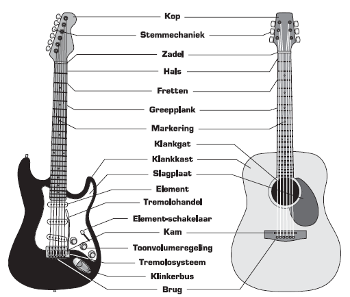 8 Stap voor stap gitaarles De gitaar afb 3.1 Voor het gemak van deze les is hier een afbeelding met rechts een akoestische en links een elektrische gitaar.
