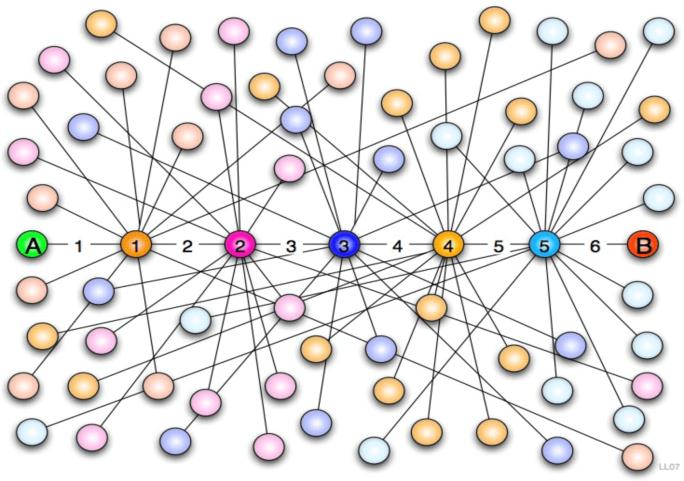 Relevante sociale netwerk theorieën Nicholas Christakis: Ons beeld over de wereld hangt af van de feitelijke structuur van onze netwerken en alles dat beweegt in deze netwerken Ronald Burt: Mensen