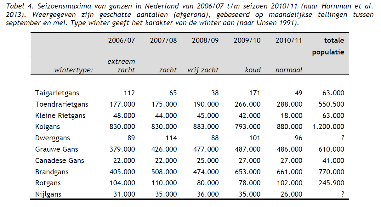 Werkelijke