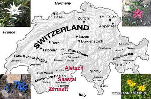 Dan is deze wandelvakantie een regelrechte aanrader voor u! Het is een uitgebreide reis met veel leuke extra s. Het Saastal ligt in Wallis, Zwitserland.