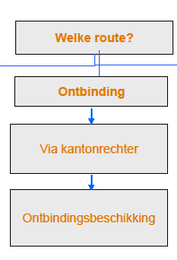 Ontbindingsprocedure kantonrechter Werkgever en werknemer (7:671c en 671b BW) Alle redenen