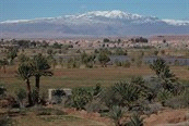 Rondreizen / Afrika & Midden-Oosten / Marokko Code 258520 P avontuur op maat Niveau Accommodatie Sahara - Ouarzazate * overnachting in Riad Salam Hotel, 2 dagen, overnachting in goed stadshotel