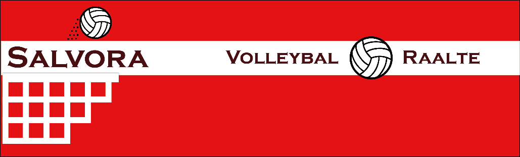 Taken en verantwoordelijkheden De organisatie van Volleybalvereniging Salvora.
