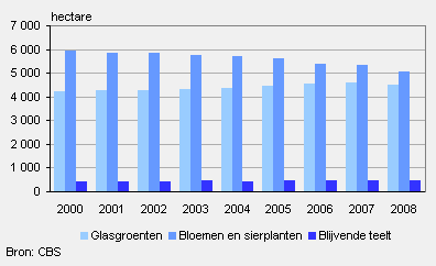 Productiebedrijven Oppervlakte glastuinbouw Minder sierteelt, meer groenteteelt In de periode 2000-2005 schommelde het areaal glastuinbouw rond de 10.500 hectare.
