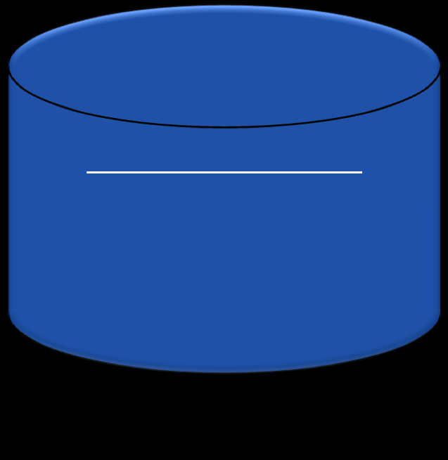 Architectuur - Technisch Applicatieserver Glassfish APEX Listener Geoserver Schaling: 100.000.