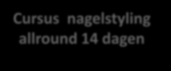 Cursus tyling allround 14 dagen Inhoud lespakket 1 dag spa manicure 1 dag nail art handpainted 9 dagen acryl systeem 3 dagen gel systeem Lesgeld excl. 21% btw.