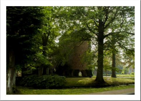 Locatie: De boerderij is op landelijke woonstand aan de rand van Feanwâlden op de grens van het buurdorp Noardburgum gelegen.